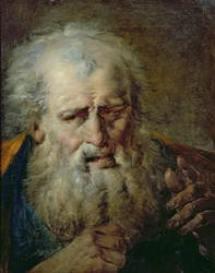 Testa di un vecchio