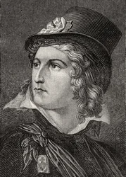 Henri du Vergier, Conte de la Rochejaquelin, da 