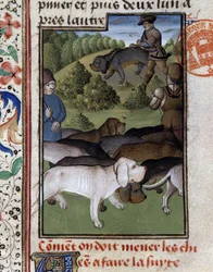 Cani da caccia - nel "Libro di Caccia di Gaston Phoebus, Conte di Foix, Signore di Béarn"