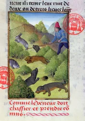 Caccia ai conigli con cani e reti, dal Livre de la Chasse di Gaston Phebus, inizio XV secolo