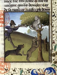 Scena di caccia con una lince - nel "Libro di Caccia di Gaston Phoebus, Conte di Foix, Signore di Béarn"