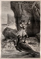 Ho spinto la mia vanga nel suo petto: Woodes Rogers (1679-1732) attaccato da un cane marino (foca) su una delle isole Galapagos nell