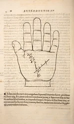 Illustrazione da Chiromantia di Joannes Indagioe, Strasburgo, 1531