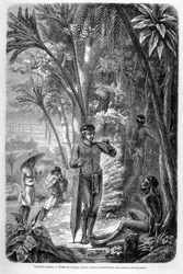 Illustrazione pubblicata nell