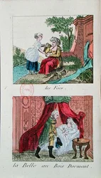 Illustrazioni per 