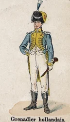 Guardia Imperiale Napoleone I: Granatiere olandese - Musicista. Tavola dal libro 