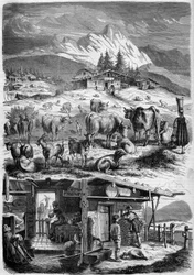 Abitanti e industria casearia delle Alpi