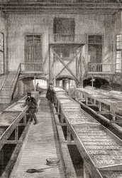 Interno di un allevamento ittico del XIX secolo a Huningue, Francia, da Les Merveilles de la Science, pubblicato c.1870