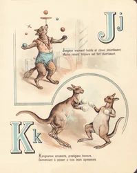 Volpe gioiosa, giocoliere, canguro, kickboxing