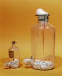 Vaso usato da Louis Pasteur (1811-95) nella sua ricerca (vetro)