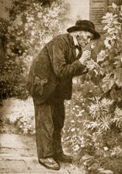Jean-Henri Fabre osserva gli insetti