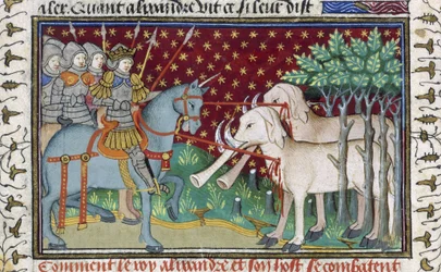 Cavalieri che attaccano elefanti, dal 