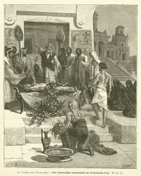 La Terra dei Faraoni