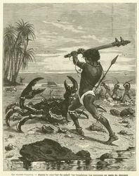 Il Granchio-Ladro