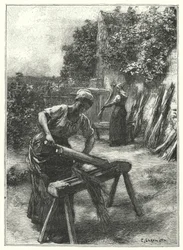 La Scortecciatura