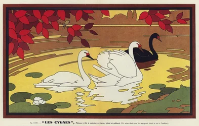 Les Cygnes, Cigni (litografia a colori)
