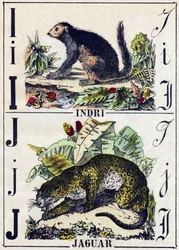 Lettera I Indri (Lemurien); J Giaguaro. Incisione in "Alphabet des animaux sauvages". 9a Serie. Immagini di Epinal, Pellerin, stampatore-editore, circa 1870. Incisioni su legno, stencil. 16 pagine. Dim: 20 x 15 cm. Collezione privata