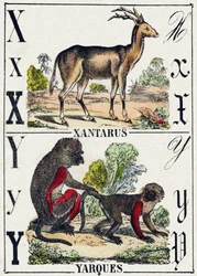 Lettera X Xantarus; Y Yarques
