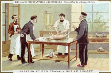Louis Pasteur (1822-95) che lavora sull