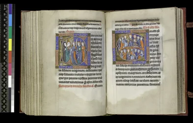 Suffragio alle Vergini e Suffragio a Tutti i Santi, dal Salterio e Ore di Isabella di Francia