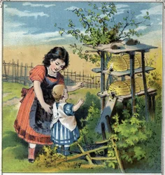 Martha mostra il lavoro delle api nell