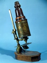 Microscopio (legno e ottone)