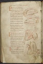 Miscellanea di opere su computo e astronomia, Royal MS 13 A XI