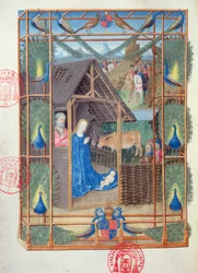 Ms 473 La Natività con pavoni, miniatura dalle Ore di Carlo di Francia, ca. 1466-69