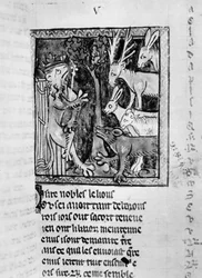 Ms Fr 1581 Nobile che tiene corte, illustrazione dal Roman de Renart