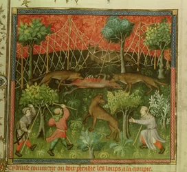 Ms Fr 616 fol.111 Caccia al lupo con l