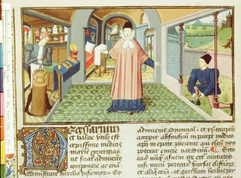 Taglio delle piante e preparazione della medicina, da L