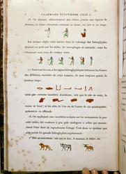 Note sulla colorazione di alcuni geroglifici, dalla Grammaire Egyptienne di Jean Francois Champollion, 1836