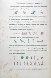 Note sulla colorazione di alcuni geroglifici, da Grammaire Egyptienne di Jean Francois Champollion (1790-1832) 1836