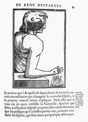 Pagina da 