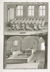 Fabbricazione della carta, dall