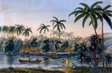 Parte del villaggio di Matavae, palme da cocco e altri frutti, Tahiti, da Voyage autour du Monde sur la Corvette Coquille di Tenente Louis Isodore Duperrey, pubblicato nel 1826