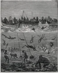 Pescatori di perle a Ceylon (attuale Sri Lanka) nel XIX secolo. Incisione del 1885 in "Les arts et métiers illustrés" di Adolphe Bitard