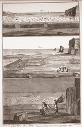 Pesca di mare - Trameau - Pesca di uccelli acquatici - "The Great Encyclopedie, ou Dictionnaire Raisonne des Sciences, des Arts et des Metiers" (Enciclopedia o Dizionario delle Scienze, Arti e Professioni) di Denis Diderot (1713-1784) e Jean d