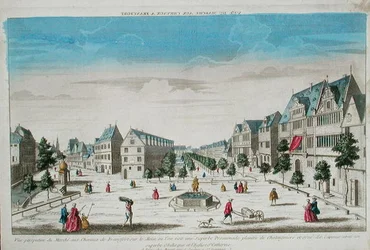 Veduta prospettica del Rossmarkt, Francoforte