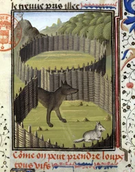 Trappola per lupo - nel "Libro di Caccia di Gaston Phoebus, Conte di Foix, Signore di Béarn"