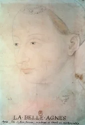 Ritratto di Agnès Sorel (1422-1450) Dama di Beauté-sur-Marne