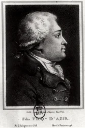 Ritratto di Felix Vicq d