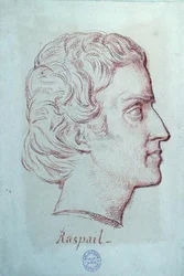 Ritratto di Francois Vincent Raspail (1794-1878)