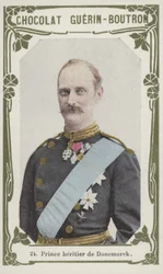 Principe ereditario di Danimarca