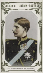 Principe ereditario di Romania