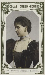 Principessa ereditaria di Romania