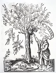 Emblema del tipografo di Robert Estienne, Parigi, 1526