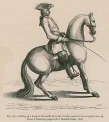Fermare un cavallo con il morso