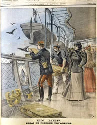Rilascio dei piccioni viaggiatori dell