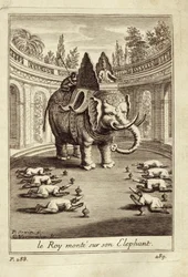 Elefanti reali, da Voyage du Siam des Peres Jesuites di Guy Tachard, 1688